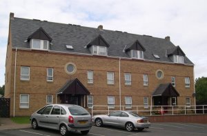 Front view