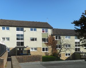 Front view