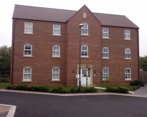 Front view