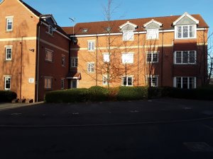 Front view